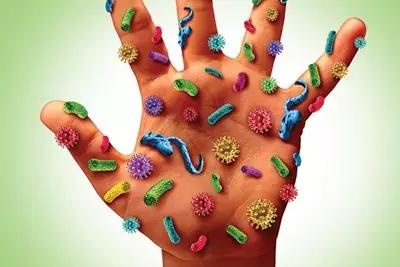 孩子发热伴有疱疹怎么回事,如果小孩身体发热应该怎么办