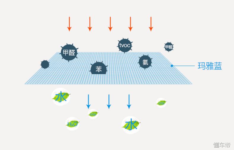 新车味道不大需要除味吗,新车没什么味道