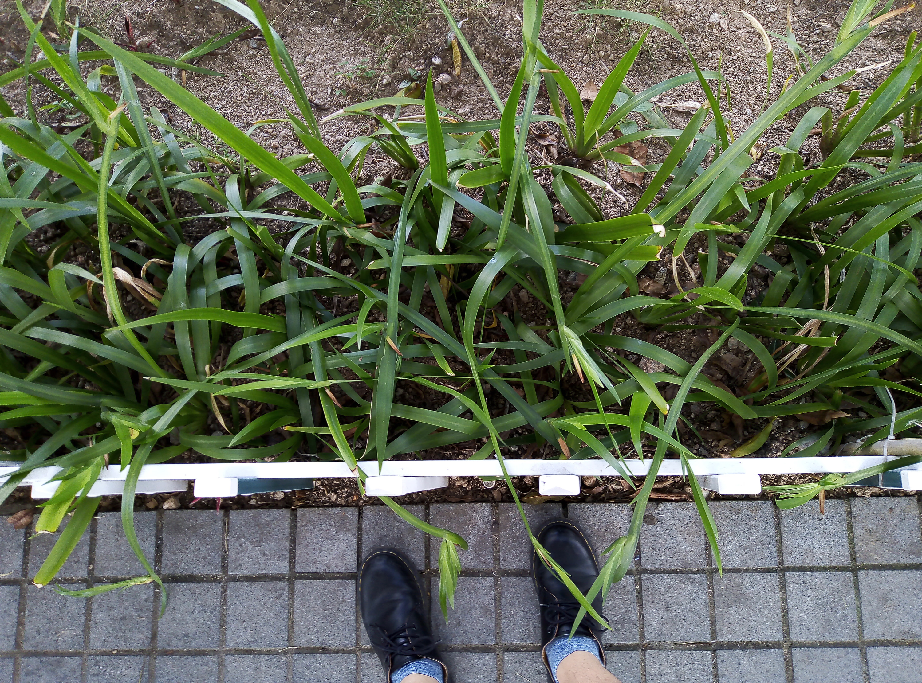 荣耀畅玩7测评,荣耀畅玩7手机推荐