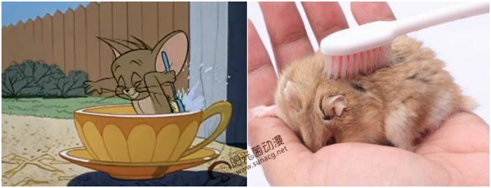 猫和老鼠里面的杰瑞真的去世了吗,猫和老鼠中杰瑞身边的绿老鼠