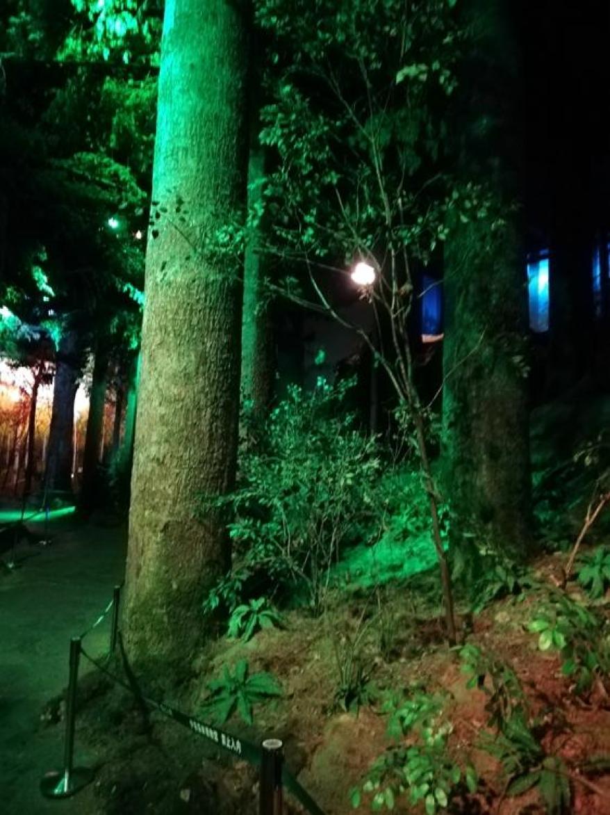 不只国博和故宫，*今条头日**上的最美博物馆，让人大呼神奇！