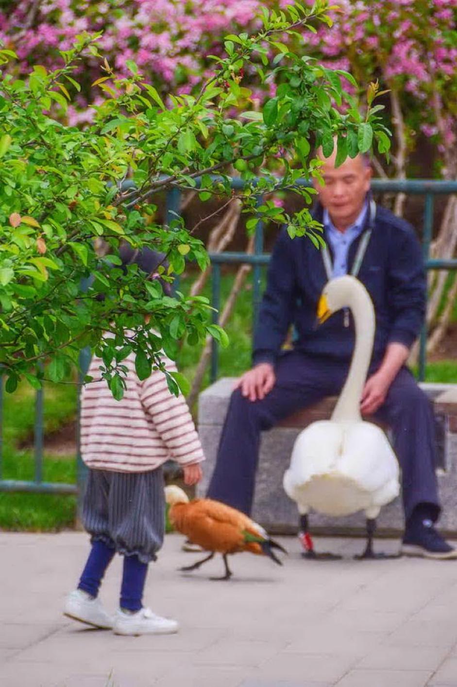 不只国博和故宫，*今条头日**上的最美博物馆，让人大呼神奇！