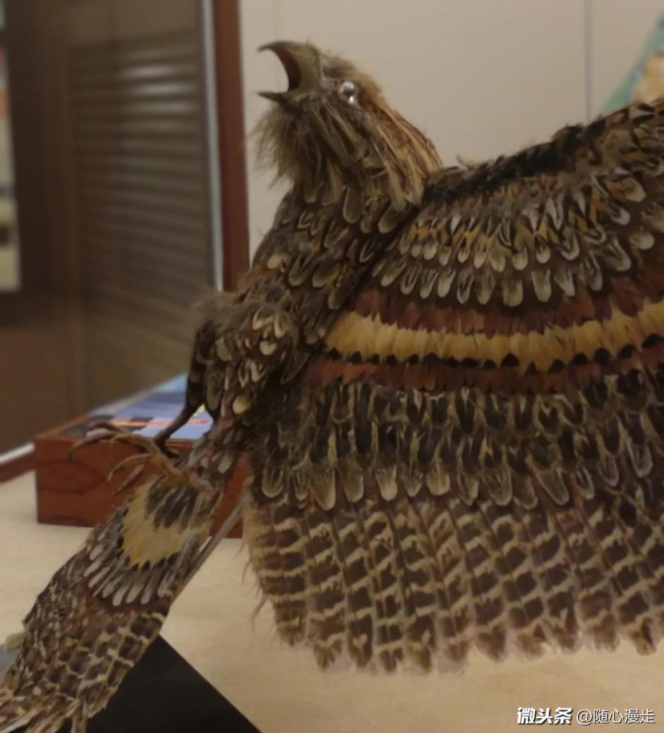 景点失恋博物馆,广州失恋博物馆与失恋星空博物馆