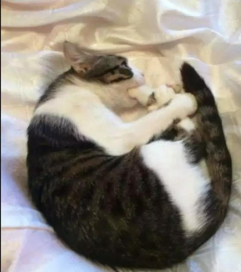 答应我，这个夏天一定不要轻易尝试这种裤子