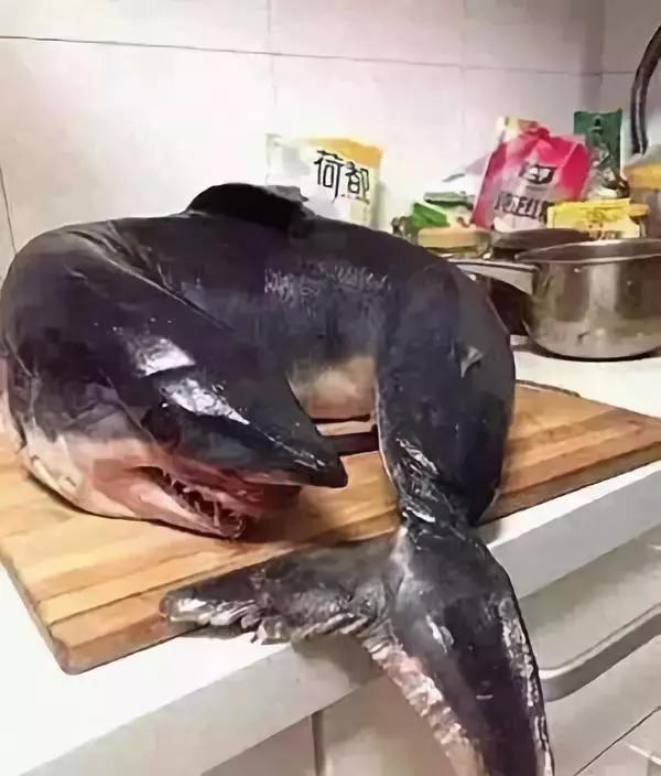 代购十大骗局揭秘图,真正的代购骗局