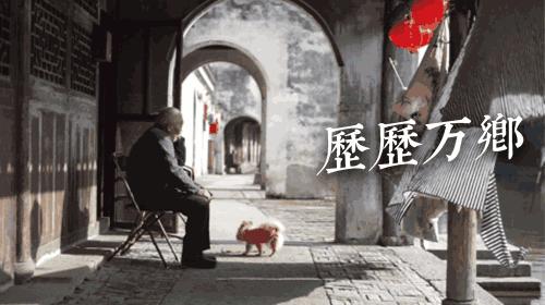 舟山海岛赶海推荐,舟山最值得去绝美海岛推荐