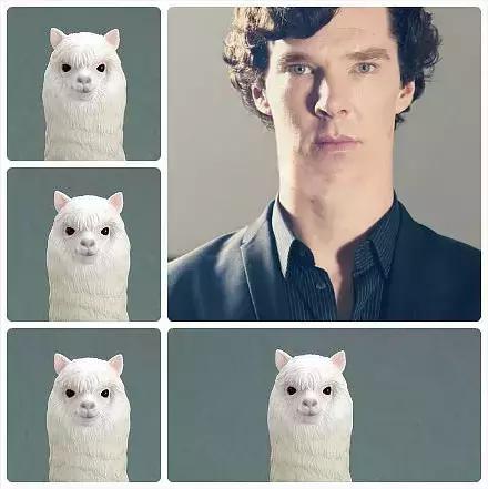 卷福饰演过的角色混剪,卷福最帅的一部电影