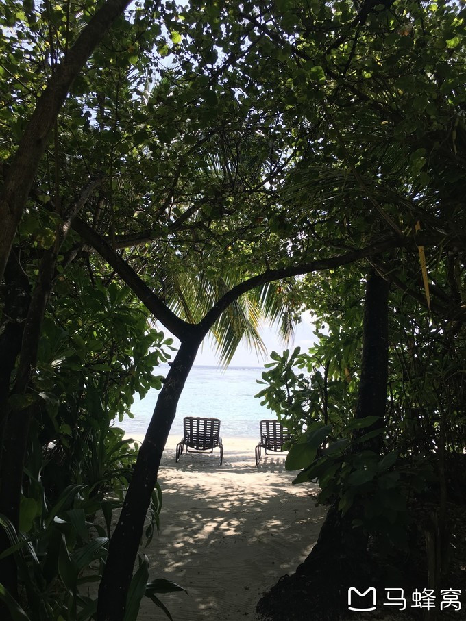 蜜月之都马尔代夫,蜜月旅行之马尔代夫