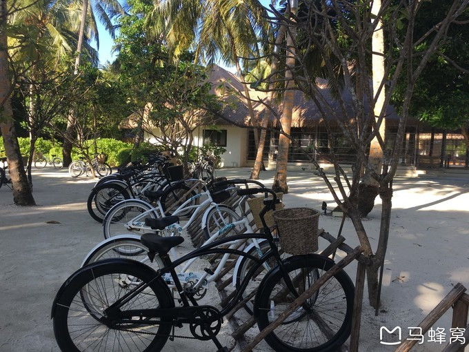 蜜月之都马尔代夫,蜜月旅行之马尔代夫