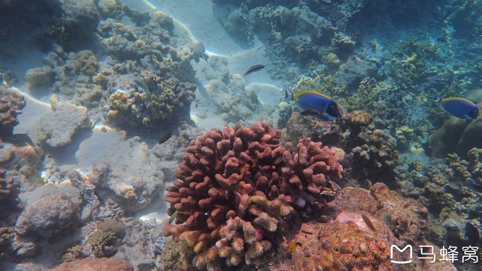 蜜月之都马尔代夫,蜜月旅行之马尔代夫