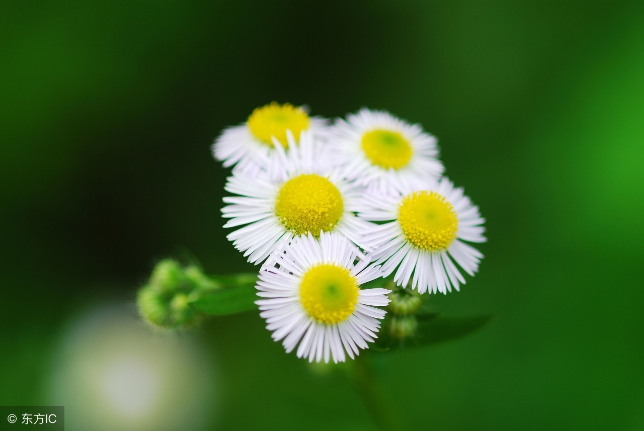 三高问题本身就很复杂,三高为啥很危险