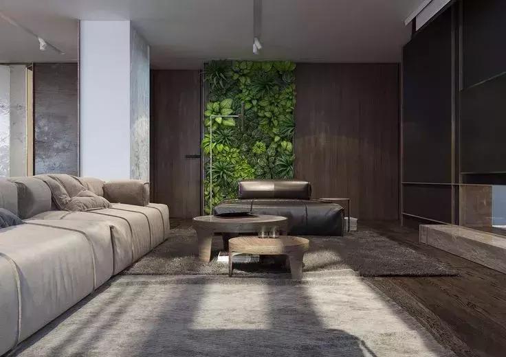 墙上种什么植物最好,景观墙上盆栽什么好看