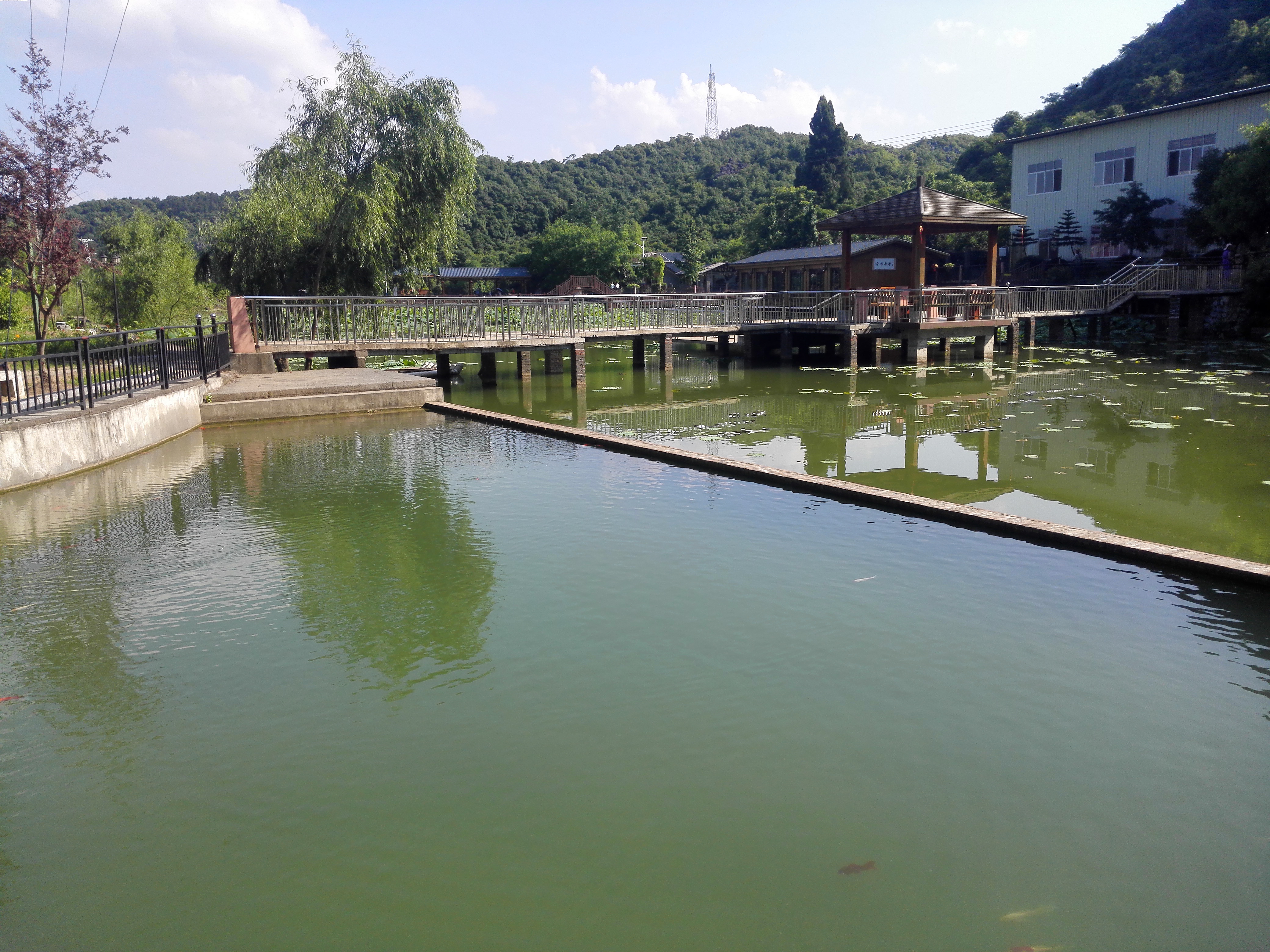 广西全州农庄排名,广西全州县绕村绿岛生态农庄