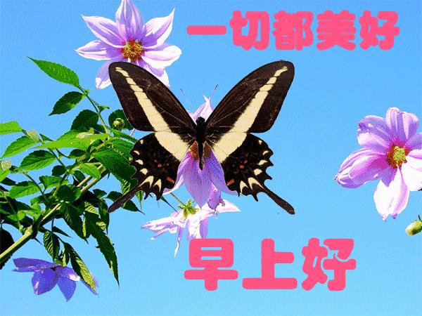 祝福早上好的图片带字表情包,早上好可爱小孩祝福表情包