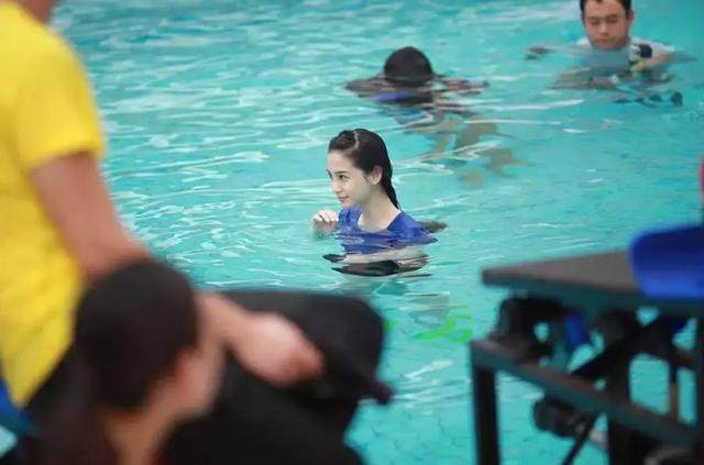 angelababy和杨紫的新综艺,angelababy和杨紫的综艺节目