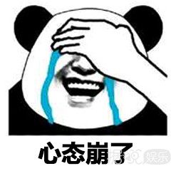 带有足球场的别墅,足球场别墅效果图