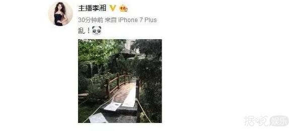 最豪华足球场草坪,足球场豪宅