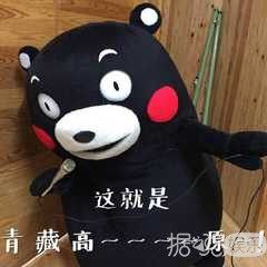 带有足球场的别墅,足球场别墅效果图