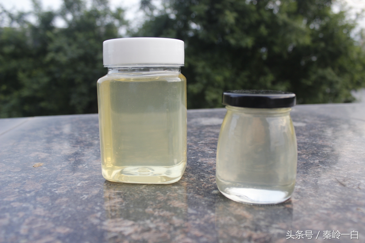 怎样分辨真假蜂蜜最简单的方法,如何快速辨别真假蜂蜜一起来看看