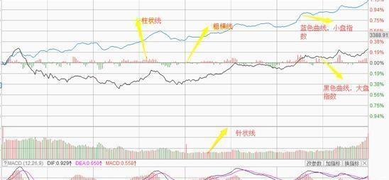 股民的悲哀,中国股民的悲与悲
