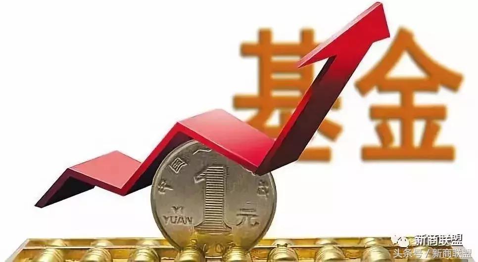 条条大道通罗马：中国民营企业55种融资方式