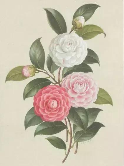 大理每个季节都很美,在大理每天都是那么的美好