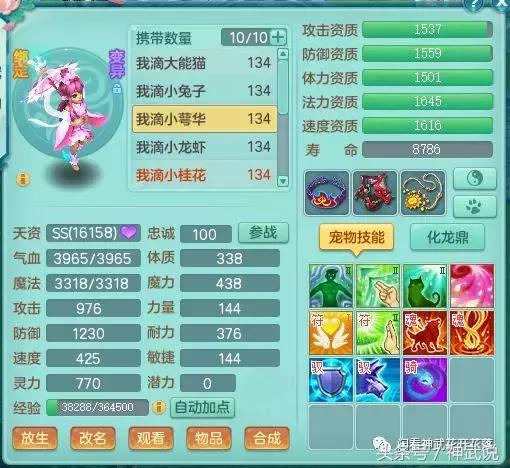 神武3龙宫攻略,神武3好名字大全