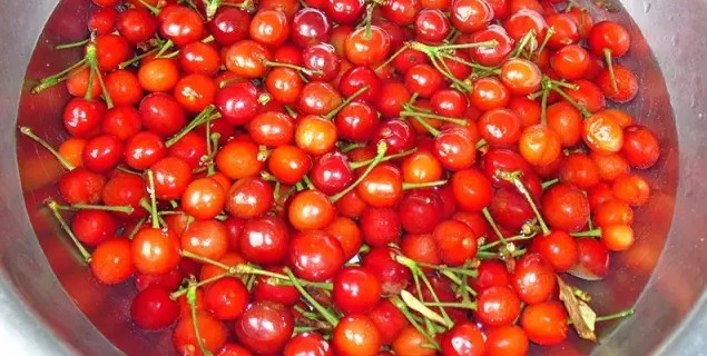 新买樱桃竟然生蛆虫！这样的樱桃还能吃吗？