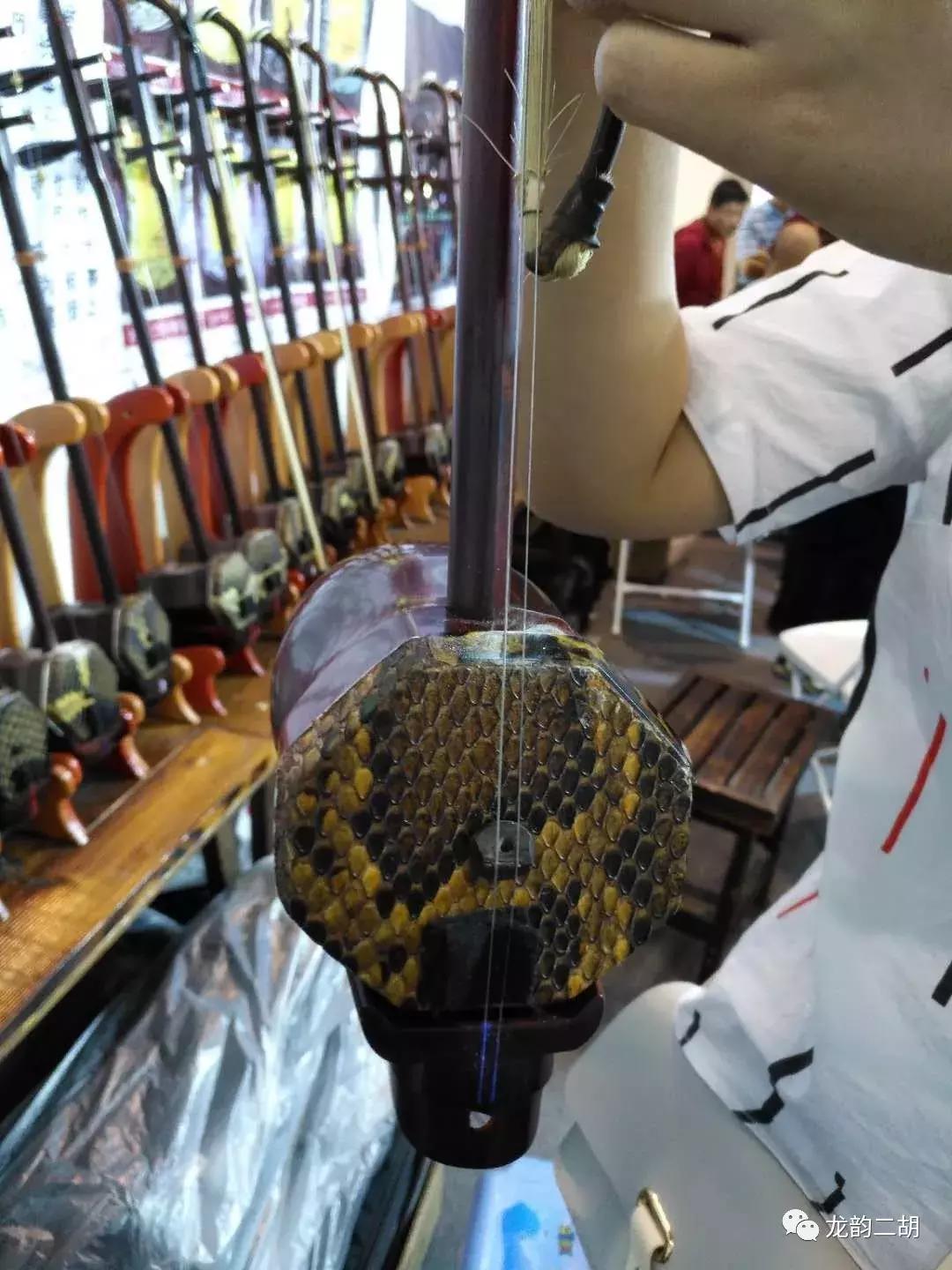 北京乐器展7月,北京龙韵二胡演奏会