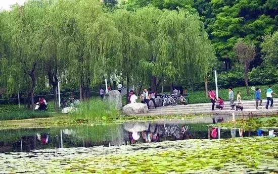 郑州有什么好玩的地方免费开放,郑州好玩的免费景点