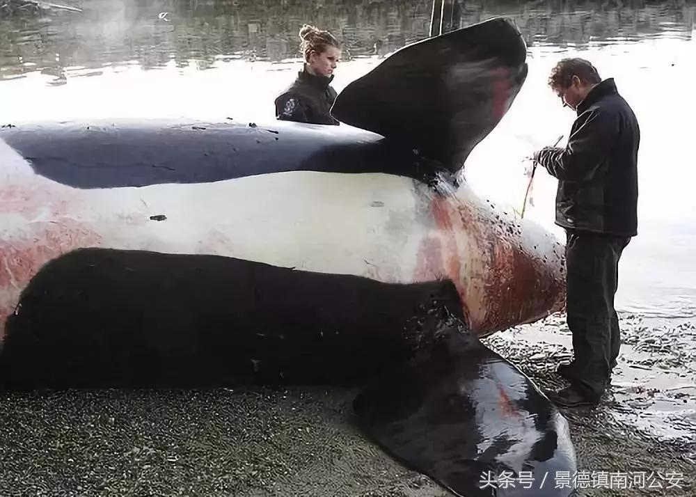 朋友圈里卖低价服装的真相,代购骗局揭秘朋友圈