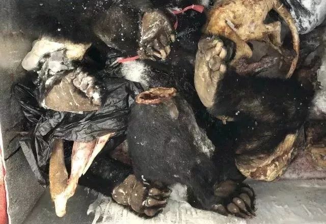 代购背后的骗局,代购十大骗局揭秘图