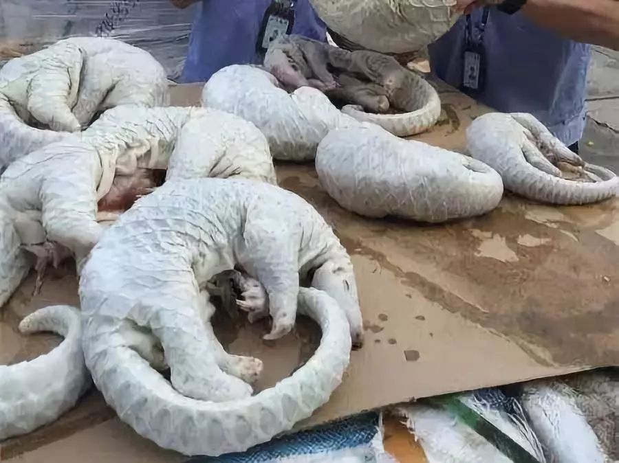 代购究竟有多暴利,代购骗局揭秘朋友圈