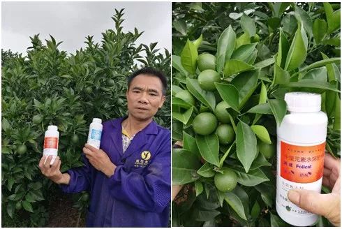 淇濊姳淇濇灉鑶ㄥぇ闃茶,閫熷缓鍔犲浐鏉愭枡