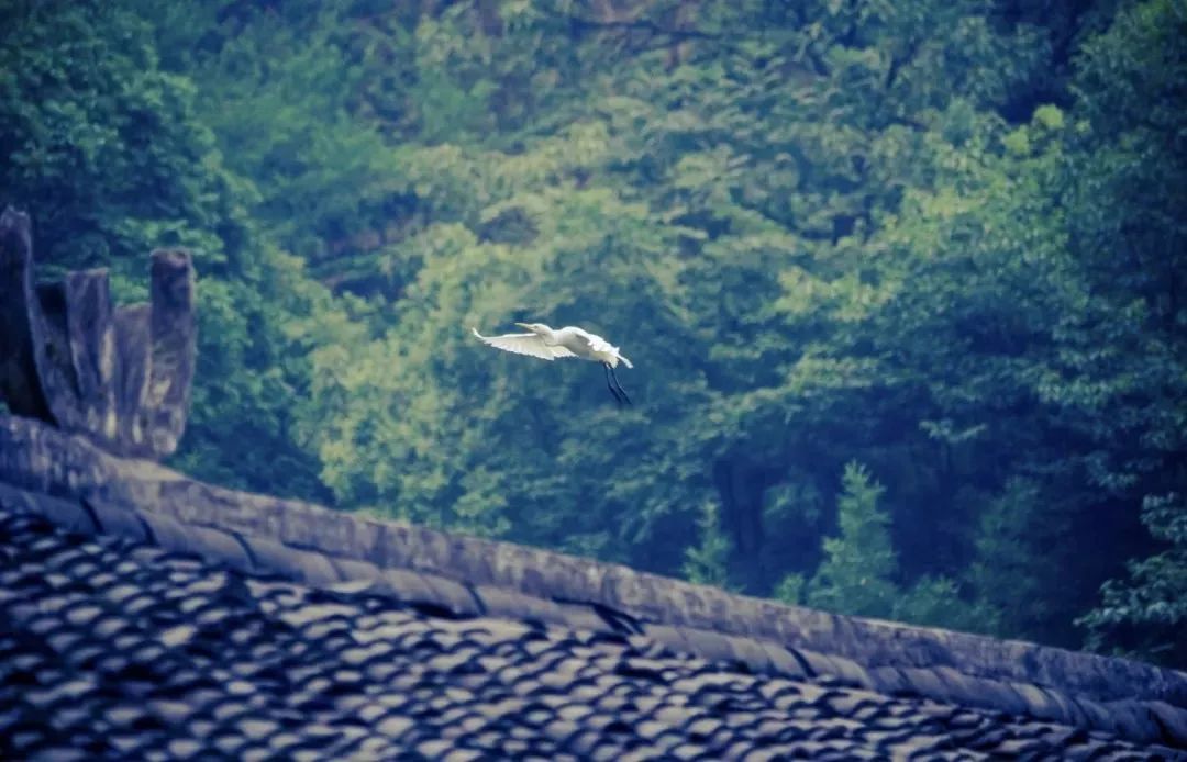 那些年背过的文言文,那些年倒背如流的25篇经典古文