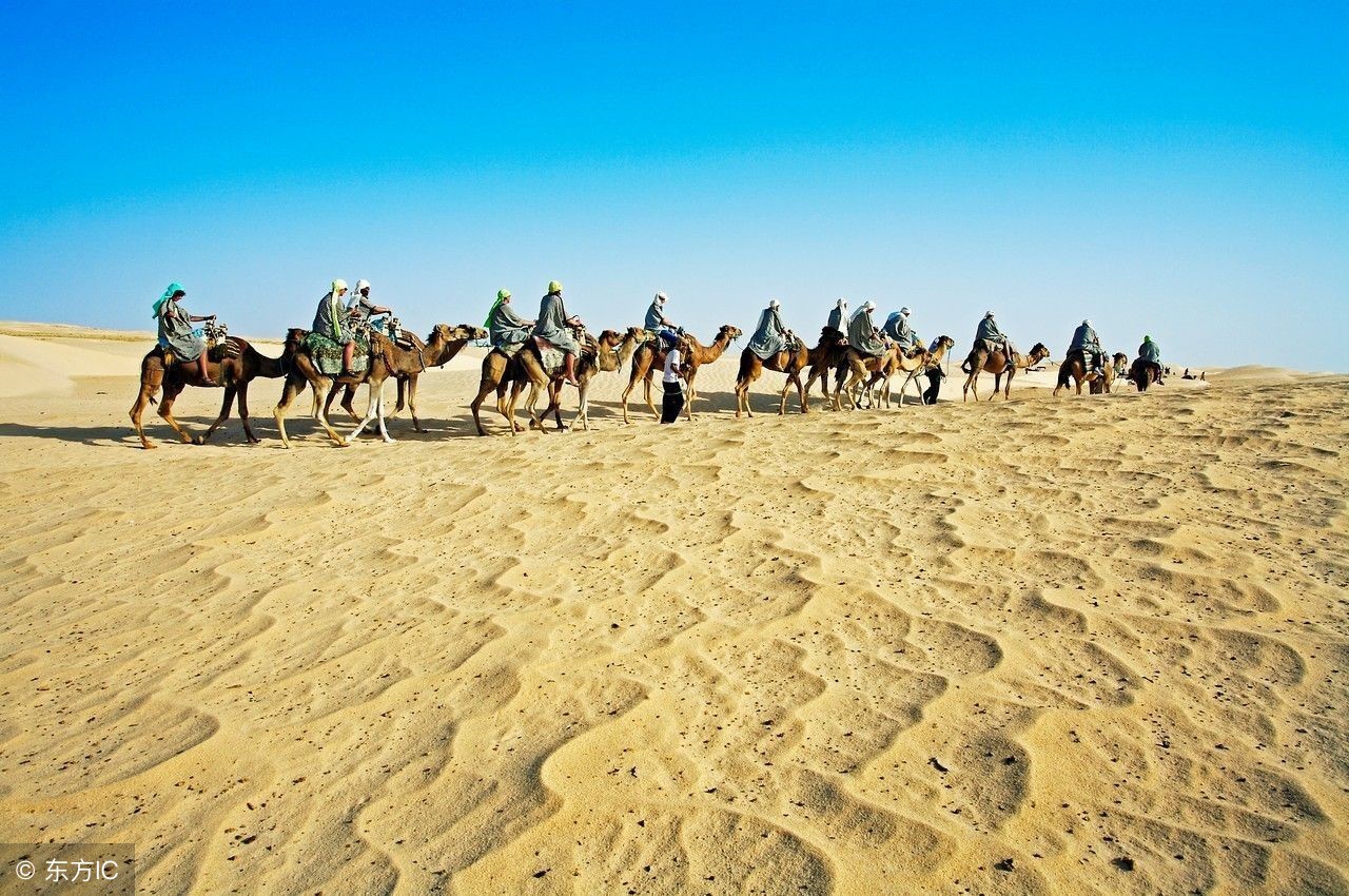 圣经中的埃及讲解,圣经直译和意译