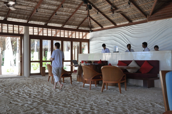 马尔代夫哈拉微莉岛游记,马尔代夫娇丽岛旅游攻略