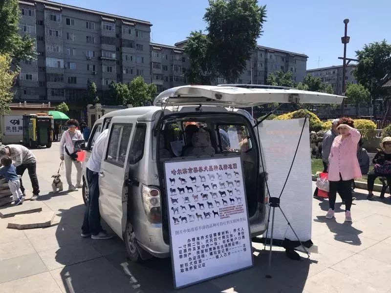 哈尔滨狗没办证派出所怎么处理,哈尔滨犬证注销