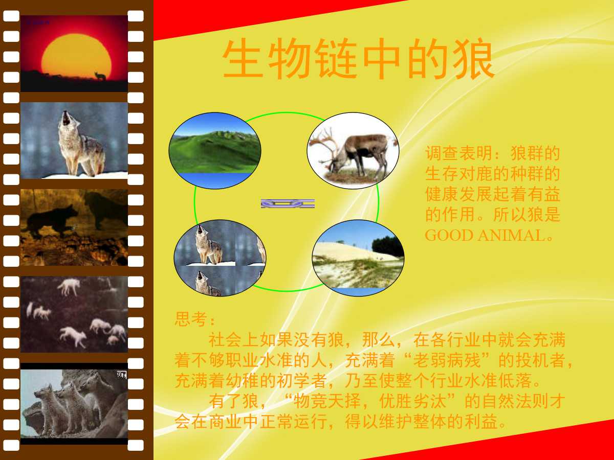 企业团队凝聚力培训ppt,企业团队精神培训ppt