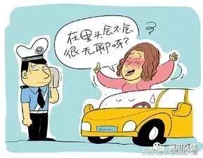 郑州交警抓醉猫,交警查车抓醉猫