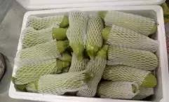 亚星生活,吕梁市亚星生活