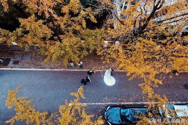 青岛的八大关全景,介绍一下青岛的八大关