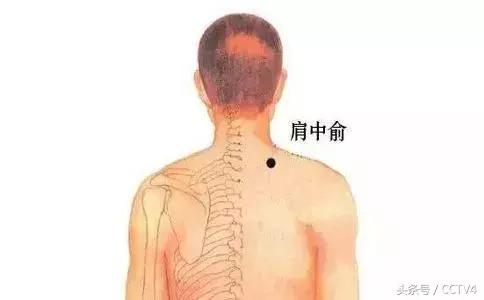 每天三分钟解决肩颈困扰合集,1分钟肩颈操让你远离肩颈困扰