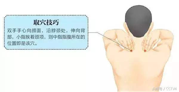 每天三分钟解决肩颈困扰合集,1分钟肩颈操让你远离肩颈困扰