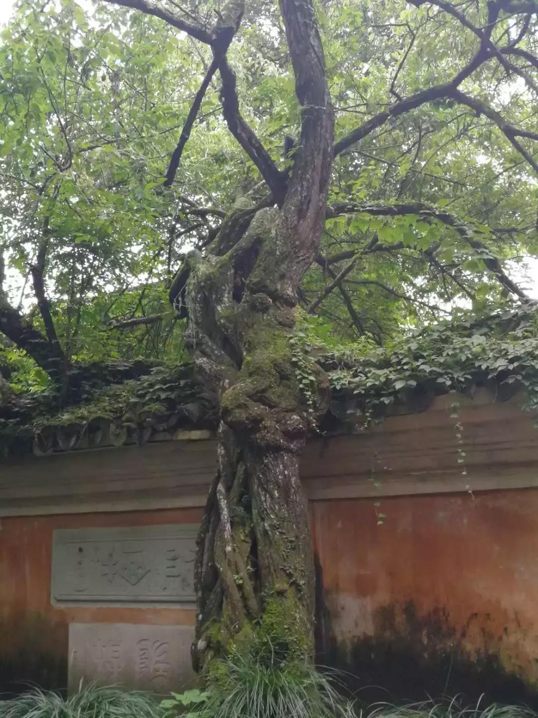 提升团队战斗力的团建活动,团建增强凝聚力