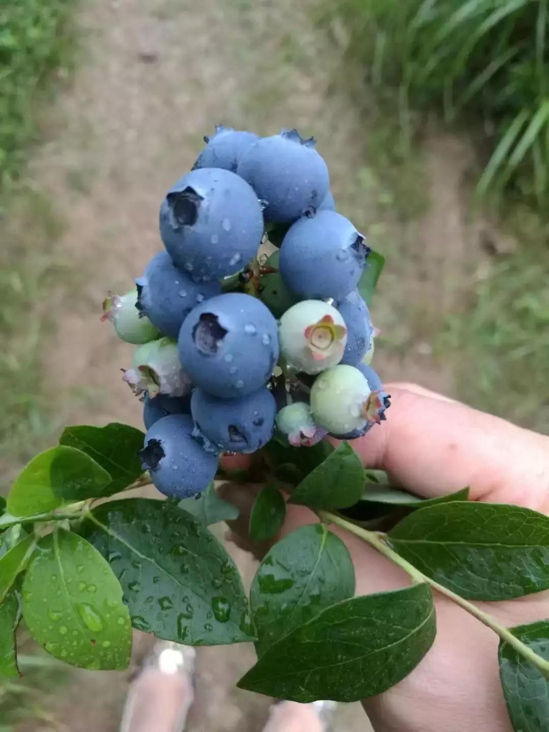 提升团队战斗力的团建活动,团建增强凝聚力