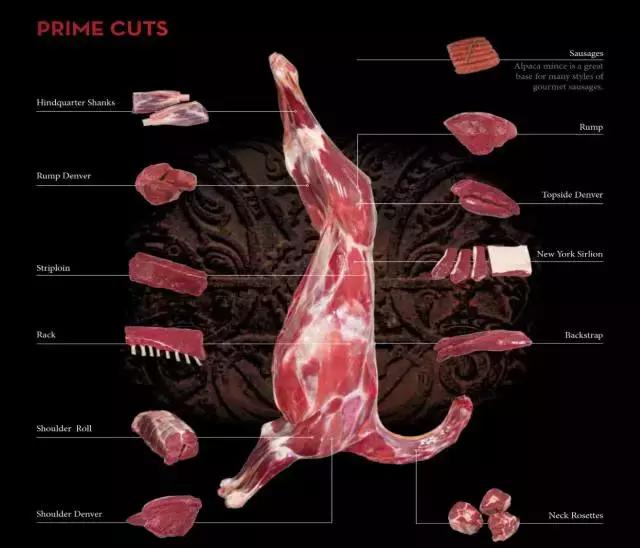 awehome怎么样,awehome靠谱吗