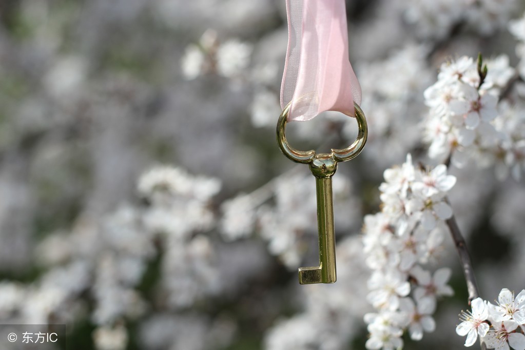 手相真的能决定一个人吗,手相真的可以窥探一个人的一生吗