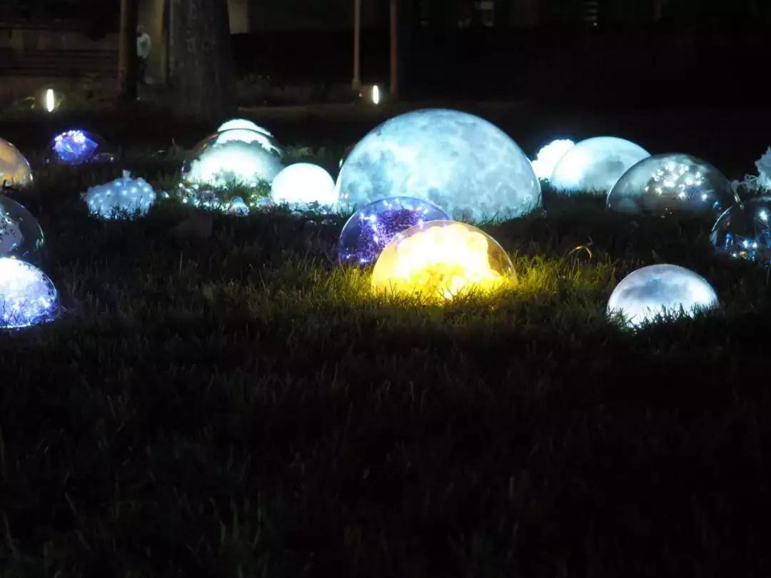 南艺爆料,南艺日常