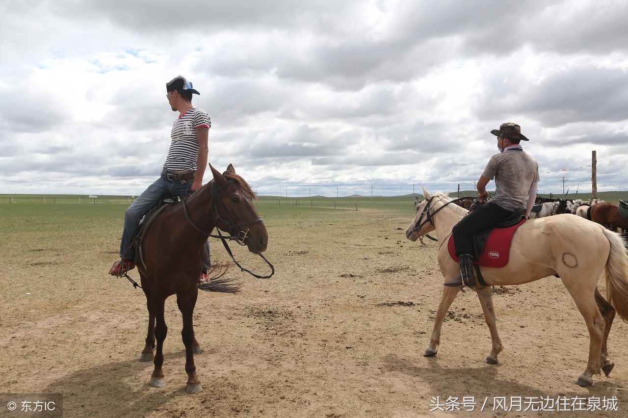 蒙古马和套马图片,蒙古套马绳子教学